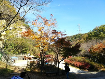 [画像:4891976c-s.jpg]