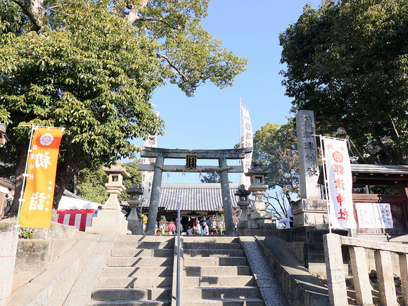 P1093790-1.png