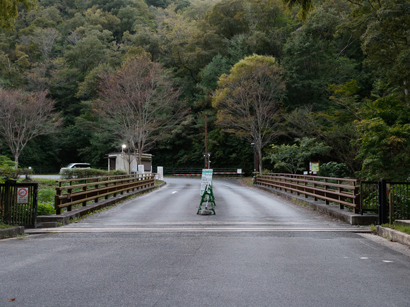 星のブランコイルミネーション
