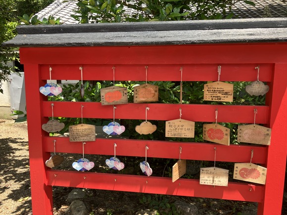 2025-06-16_13-05-13_527