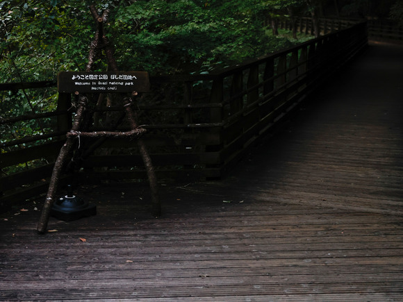 星のブランコイルミネーション