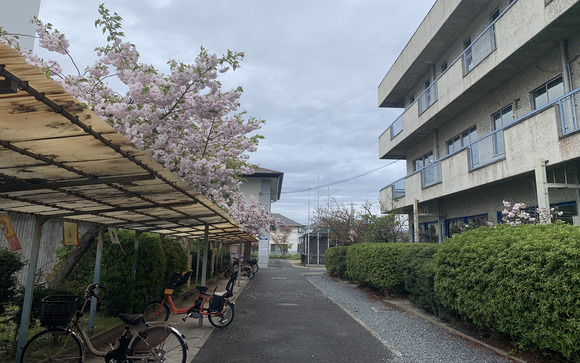 2025-04-13_10-51-27_358