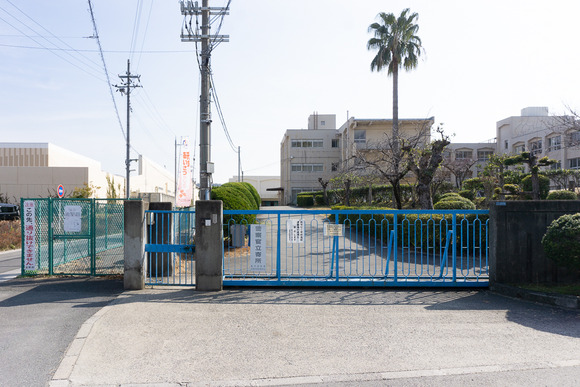 藤が尾小学校 2024年-3