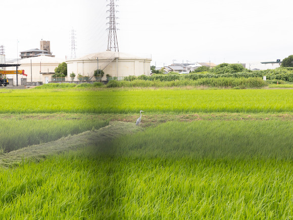 星田北3号公園240710006