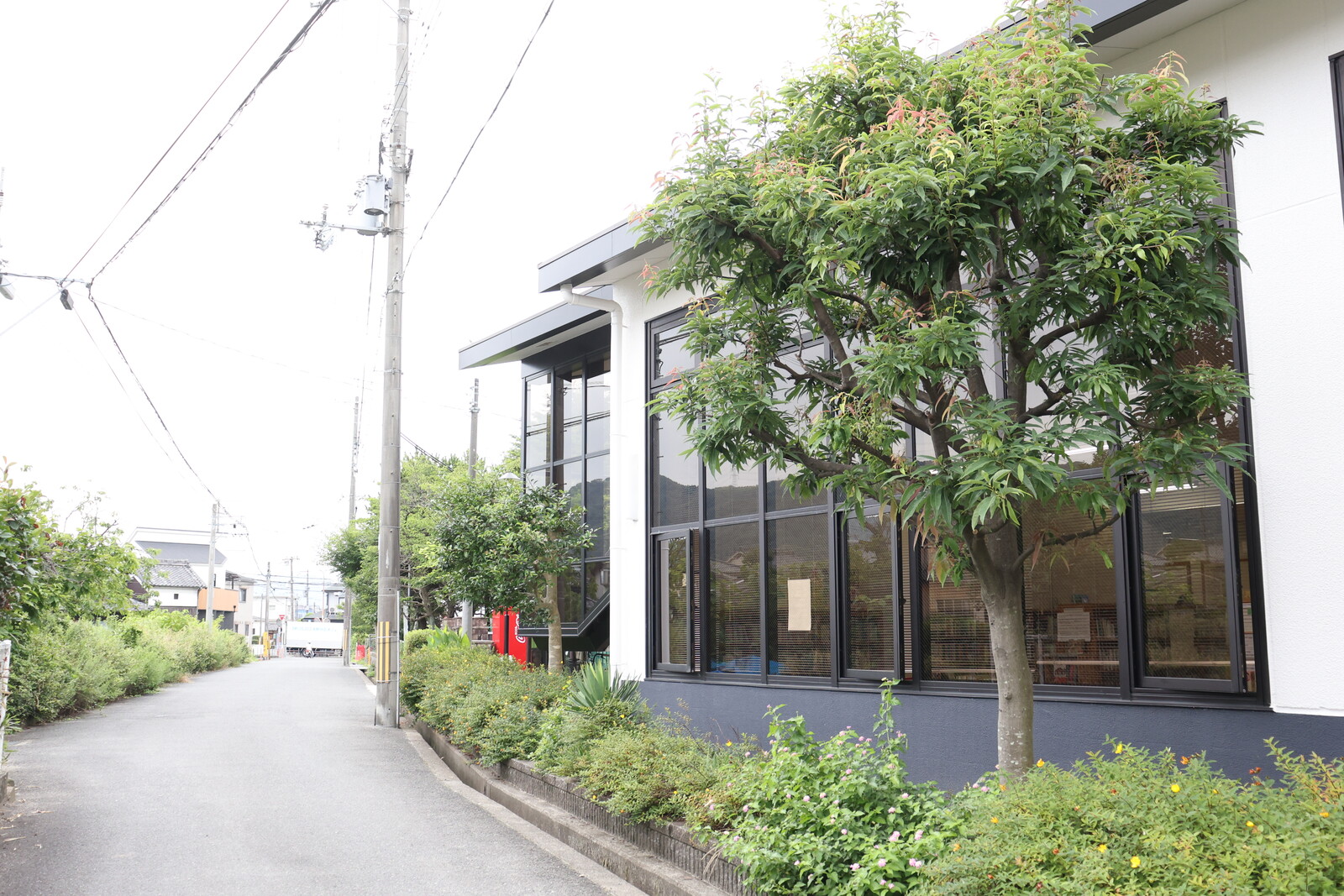 夏休みは図書館にGOだ！交野で一番広い倉治図書館はこんなところ