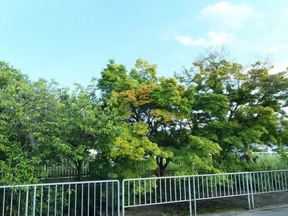 [画像:58de4c0e-s.jpg]