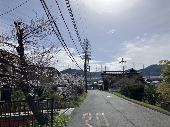 2025-04-02_09-14-00_239