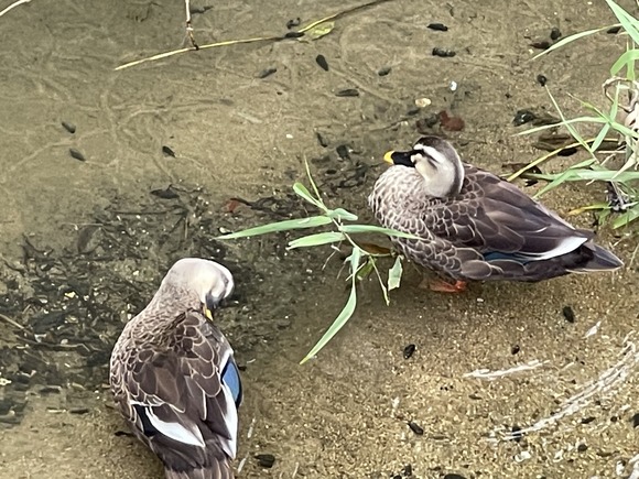 8BEC095C-853F-4C48-BECC-0539CDCECEDE