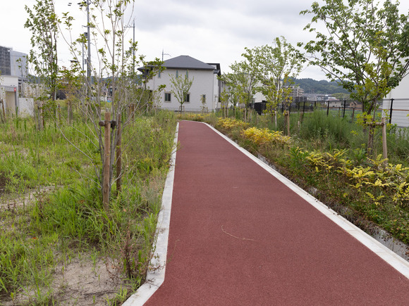 星田北3号公園240710020