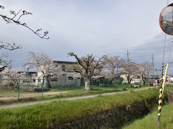 2025-04-02_09-21-34_879