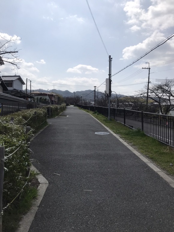 S__43245594