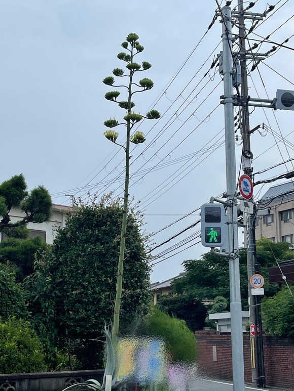 294228109_2634911709977527_2673954047087858768_n