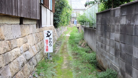 IMG_8081 (2)