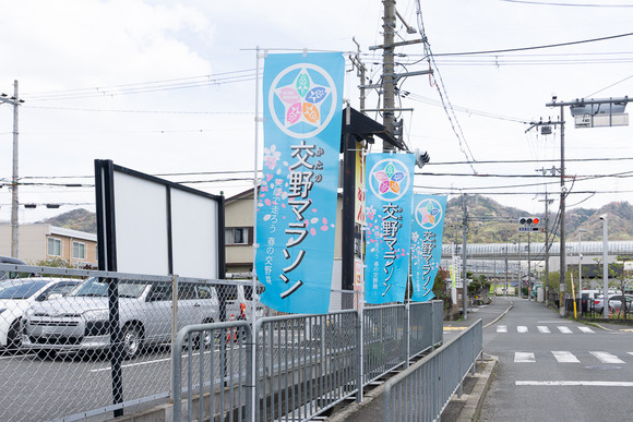 交野マラソン 旗 202404117