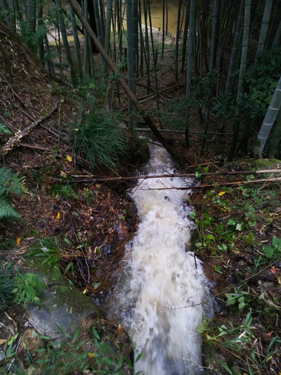 [画像:6d72a5bb-s.jpg]