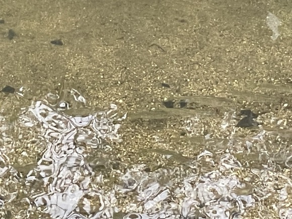 CBB36400-C956-45F3-8323-867FB140B1A8