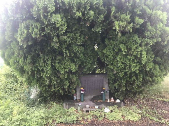 スクリーンショット 2023-10-22 14.39.26