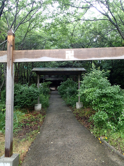P6070898