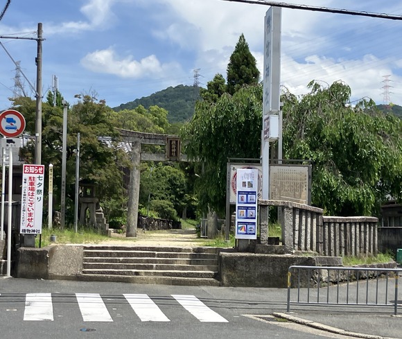 2025-06-16_12-59-54_849