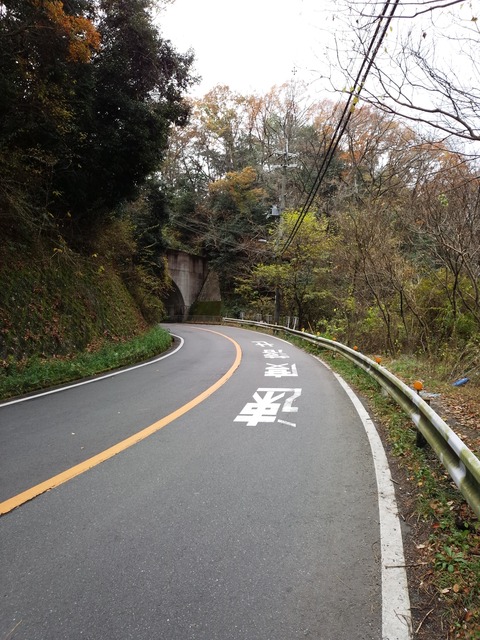 IMG_20161206_100736[1]