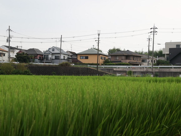A59I8442
