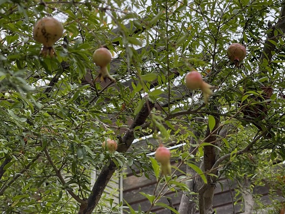 46FD0DE0-EEFF-48E4-BBF9-1219F5F37D55