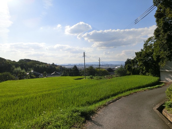 1276692_10201229942524454_684838397_o