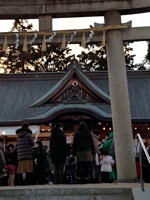 IMG_20160203_170913[1]