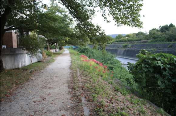 スクリーンショット 2024-09-19 21.25.47