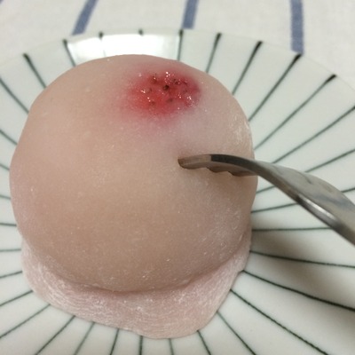 写真 2016-04-08 7 45 21