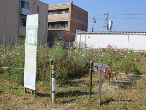 15-10-21-13-09-13-677_deco[1]