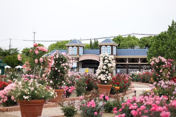 0S4A3795のコピー2 大