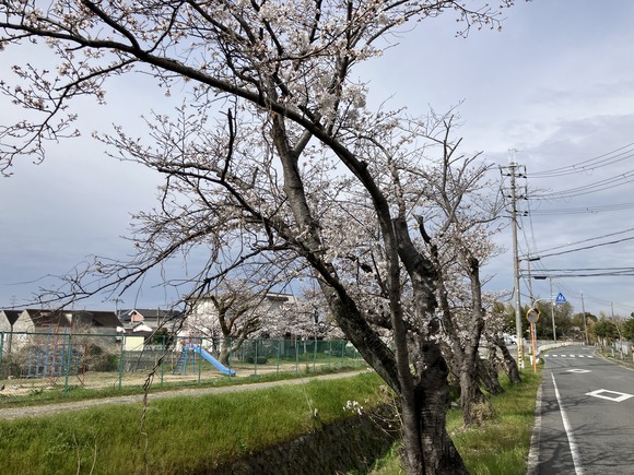 2025-04-02_09-21-09_563