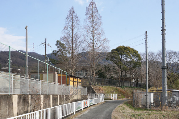 交野支援学校の裏側-1