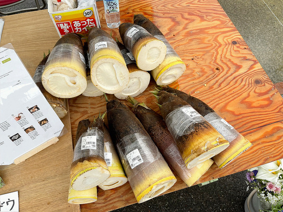 IMG_0601-1.png