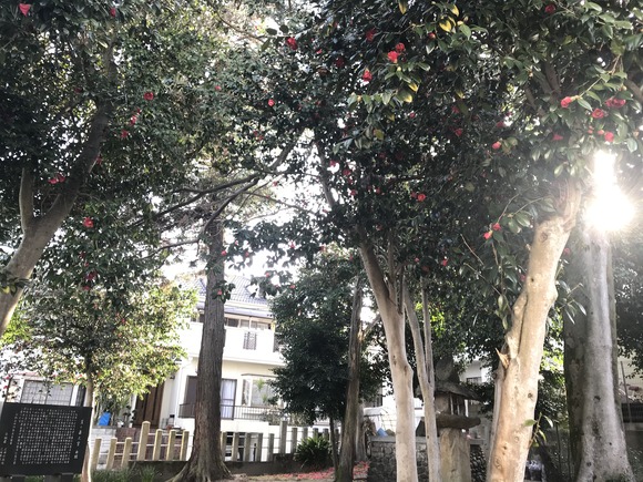 B270C30D-8B04-4C1B-8CFD-2F17F004CCDF