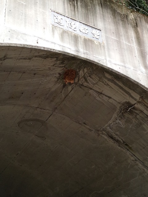 IMG_20161206_100956[1]