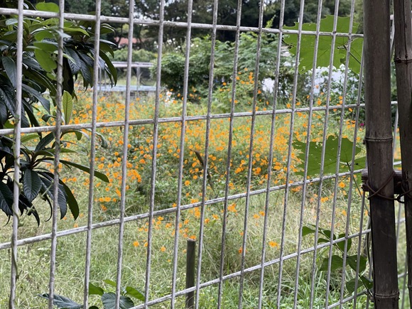 54635268-30E4-4E11-94BE-E2DD2AC1FD9F