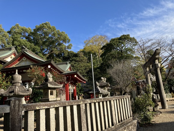 2024-12-05_14-09-03_256