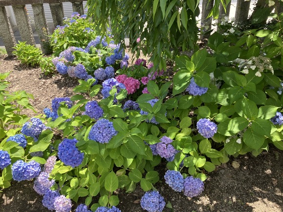 2025-06-16_13-01-09_878