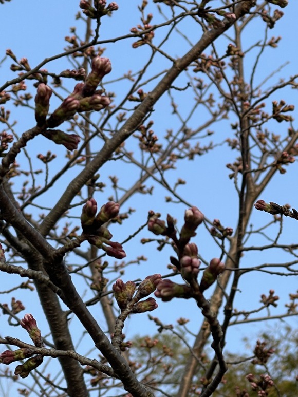 1A030F64-2DDE-4381-9A3C-222E2258A96C