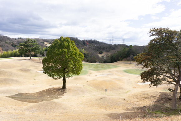 きさいちカントリークラブ 202402268