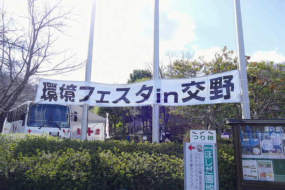 P1520688-1.png
