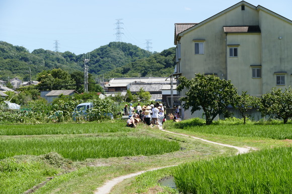 P1730337