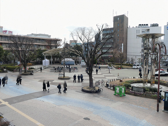 P1104896-1.png