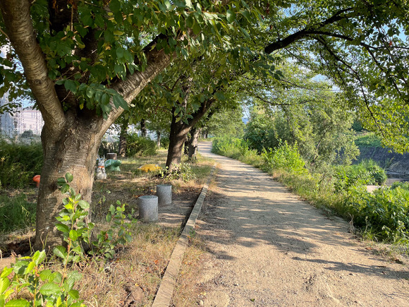 C146975C-0812-4BC3-8BF0-B104495A5C70