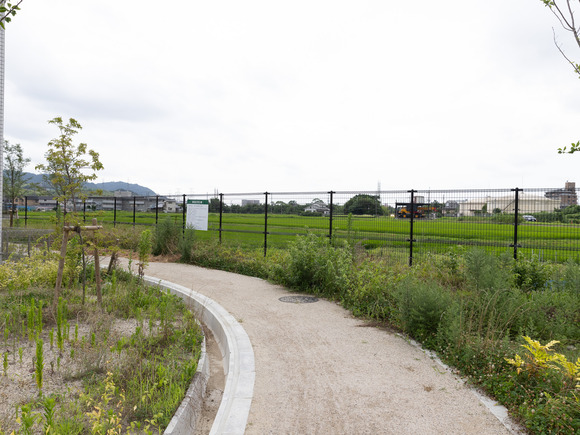 星田北3号公園240710018