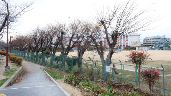 IMG_9514 (2)