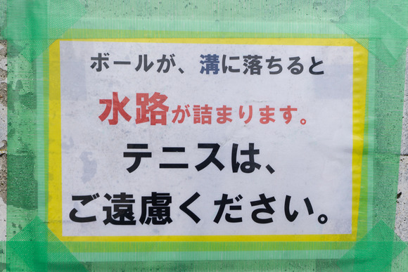 向井田 壁 202402222