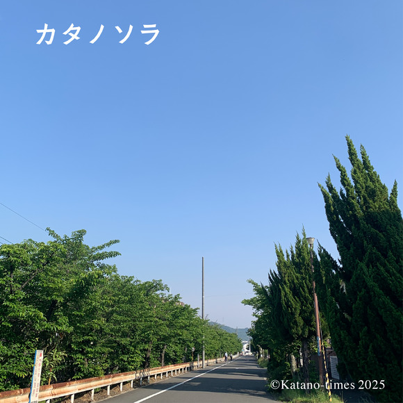 0_カタノソラフォーマット_アートボード 1